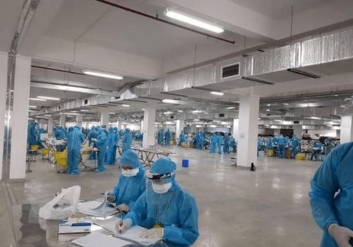 越南疫情警示 工廠聚集感染、瞞報與關聯(lián)行業(yè)的風險連鎖反應